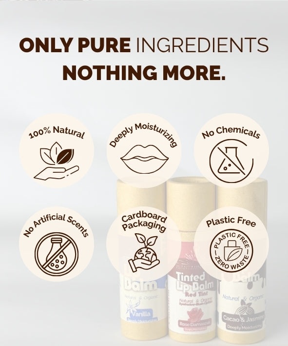 Organic Cacao & Jasmine Lip Balm