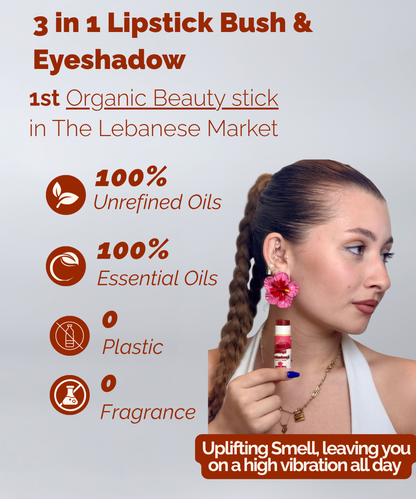 3 in 1 Lipstick Blush &amp; Eyeshadow