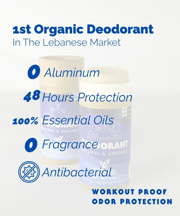 Organic Eucalyptus Deodorant