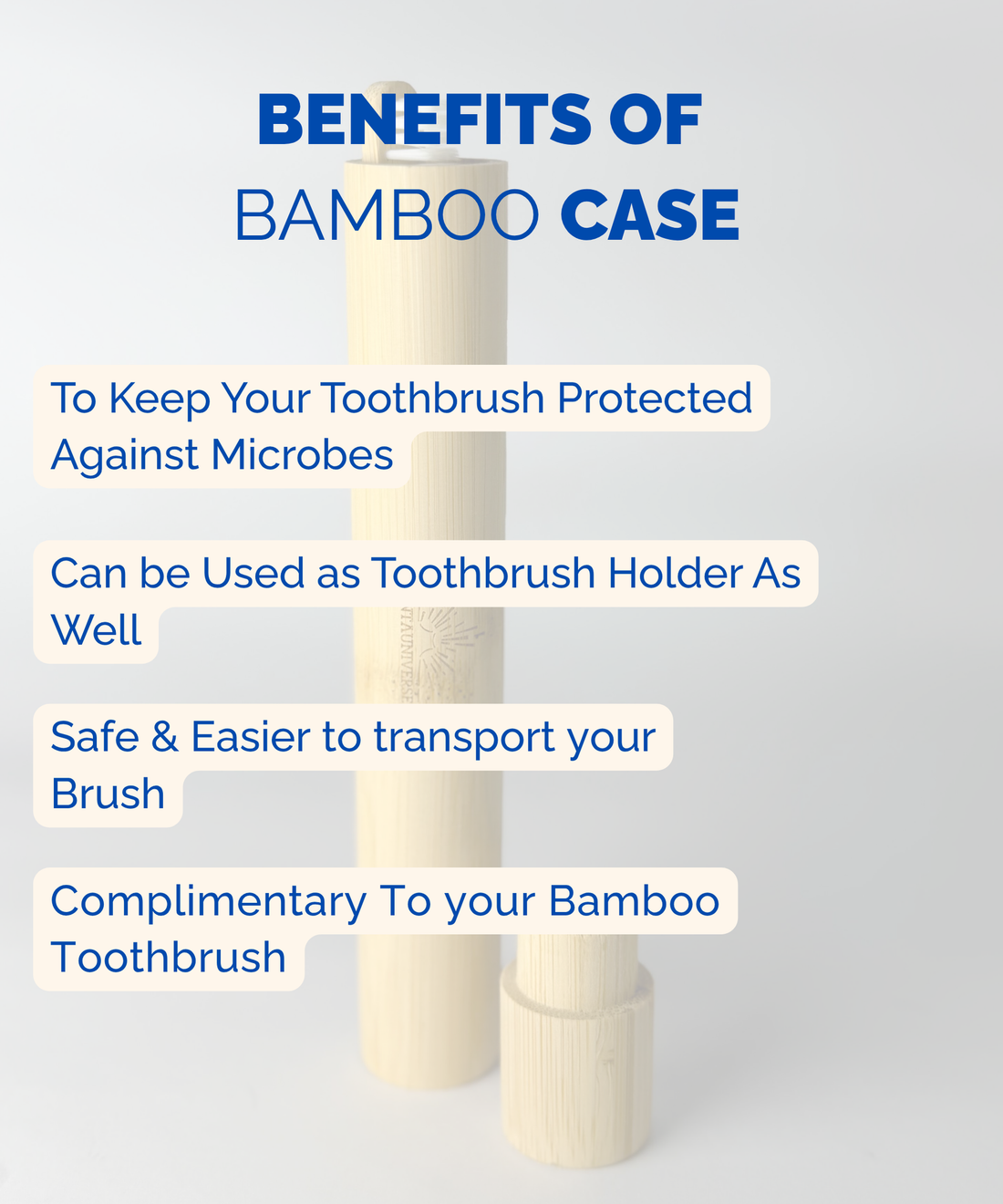 Bamboo Toothbrush Case