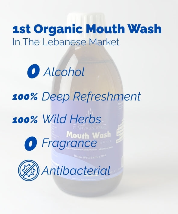 Organic Mint Mouth Wash