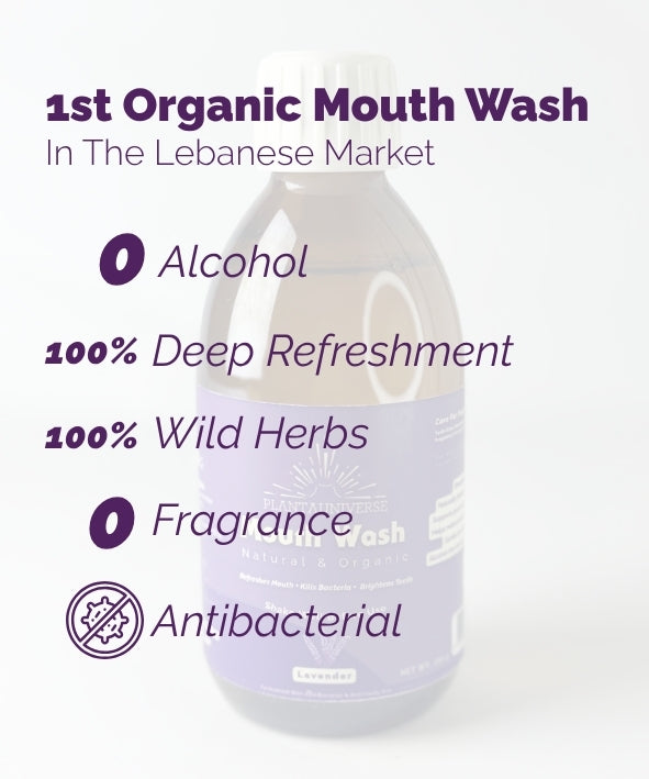 Organic Lavender Mouth Wash