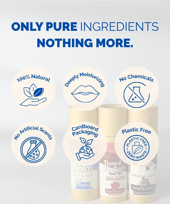 Organic Vanilla Lip Balm