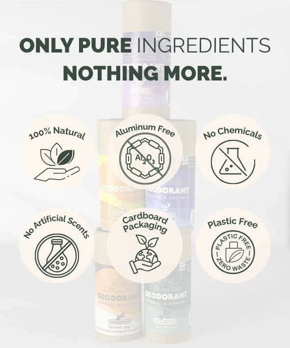 Organic Clary Sage Deodorant