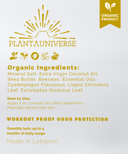 Aluminum Free Lemon Deodorant