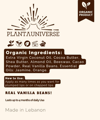 Organic Cacao &amp; Jasmine Lip Balm