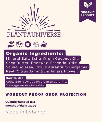 Organic Lavender Deodorant